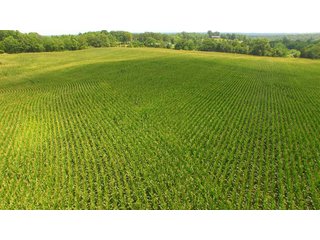 TRACT 65 - ILLINOIS LAND AUCTION - 4,810+/- ACRES OFFERED IN 85 TRACTS IN FRANKLIN, WILLIAMSON, HAMILTON & SALINE COUNTIES, ILLINOIS